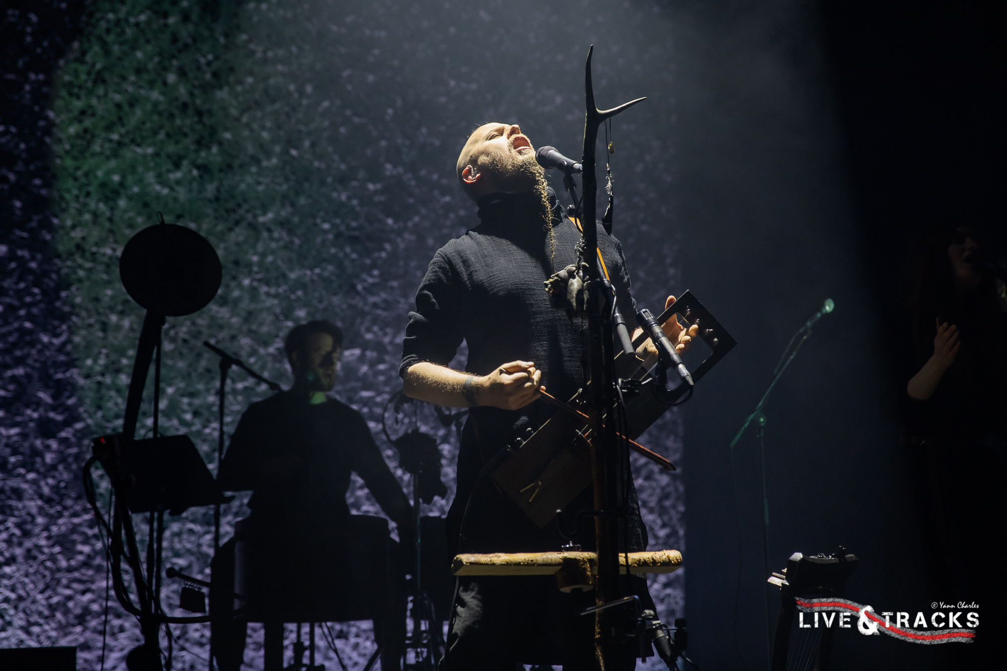 Wardruna Image
