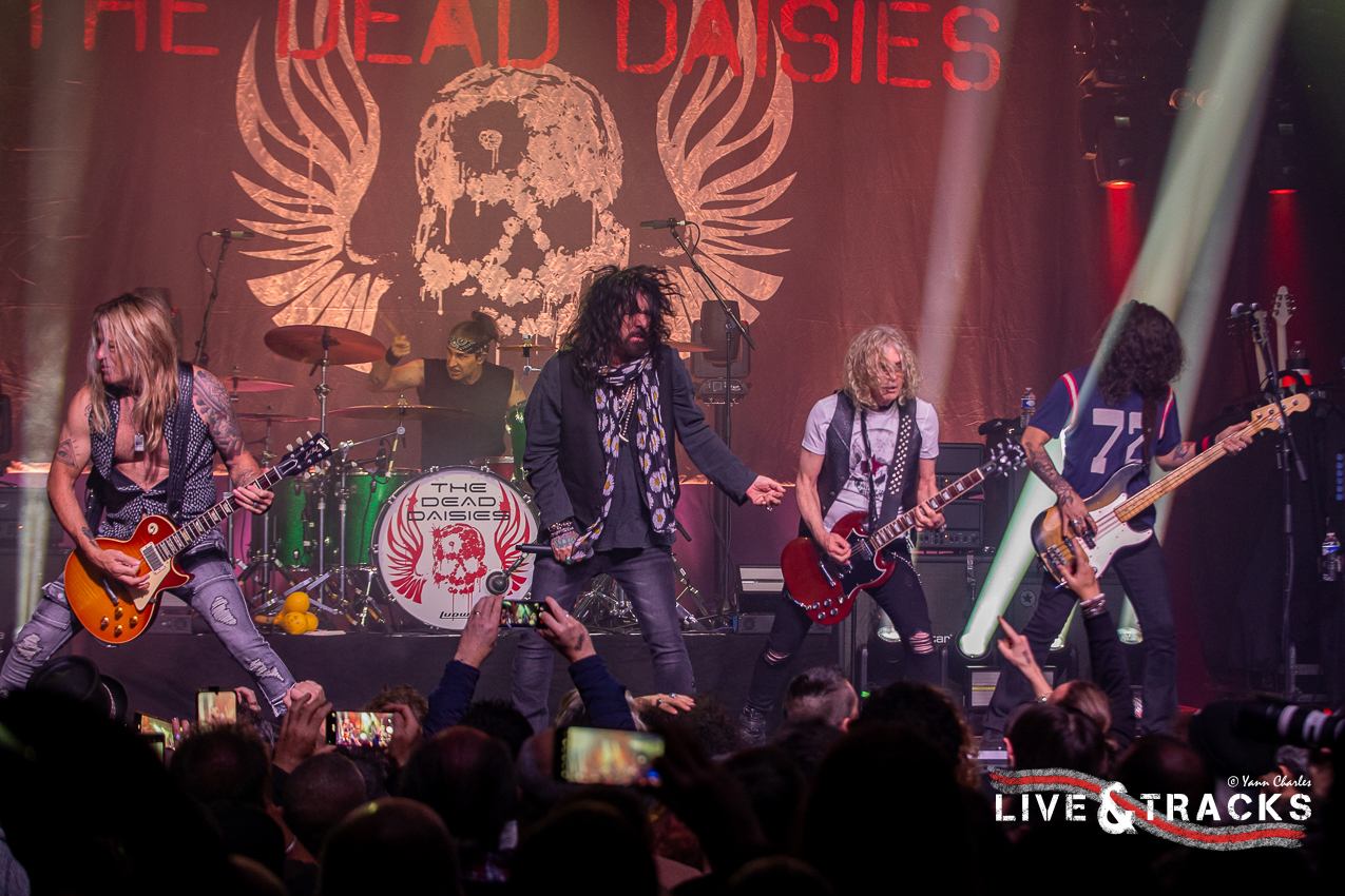 The Dead Daisies Image