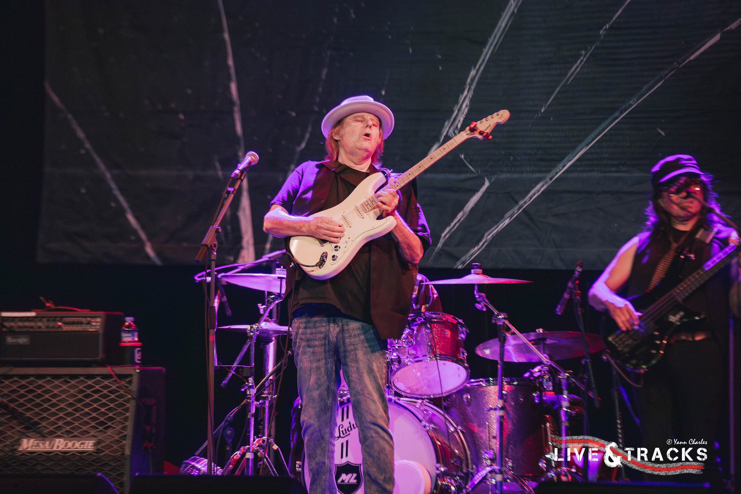 Walter Trout Image